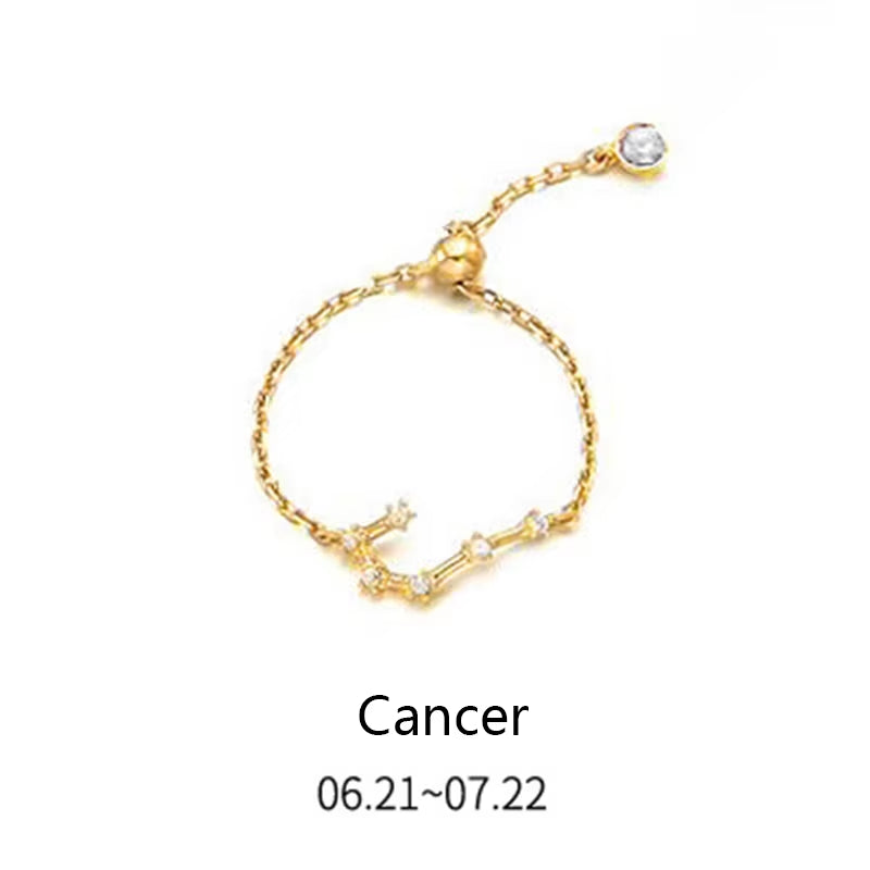 925 Sterling Silver Unique 12 Constellation Chain Link Adjustable Rings for Women Couple Zodiac Jewelry Celestial Gift